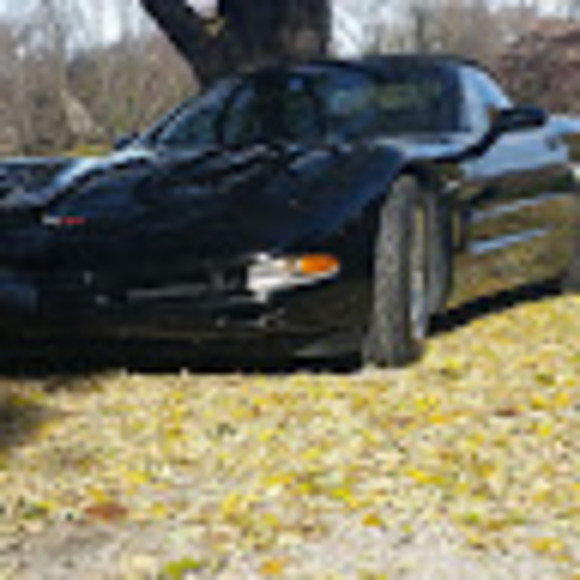 Meet your Posher, Kevin - Picture 1 of 1